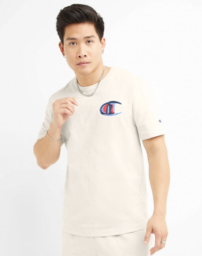 Champion gt19 store