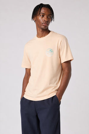 AI model photo - Vans Man Vintage Mini Dual Palm Tee Apricot Ice VN0A3H5LP1J
