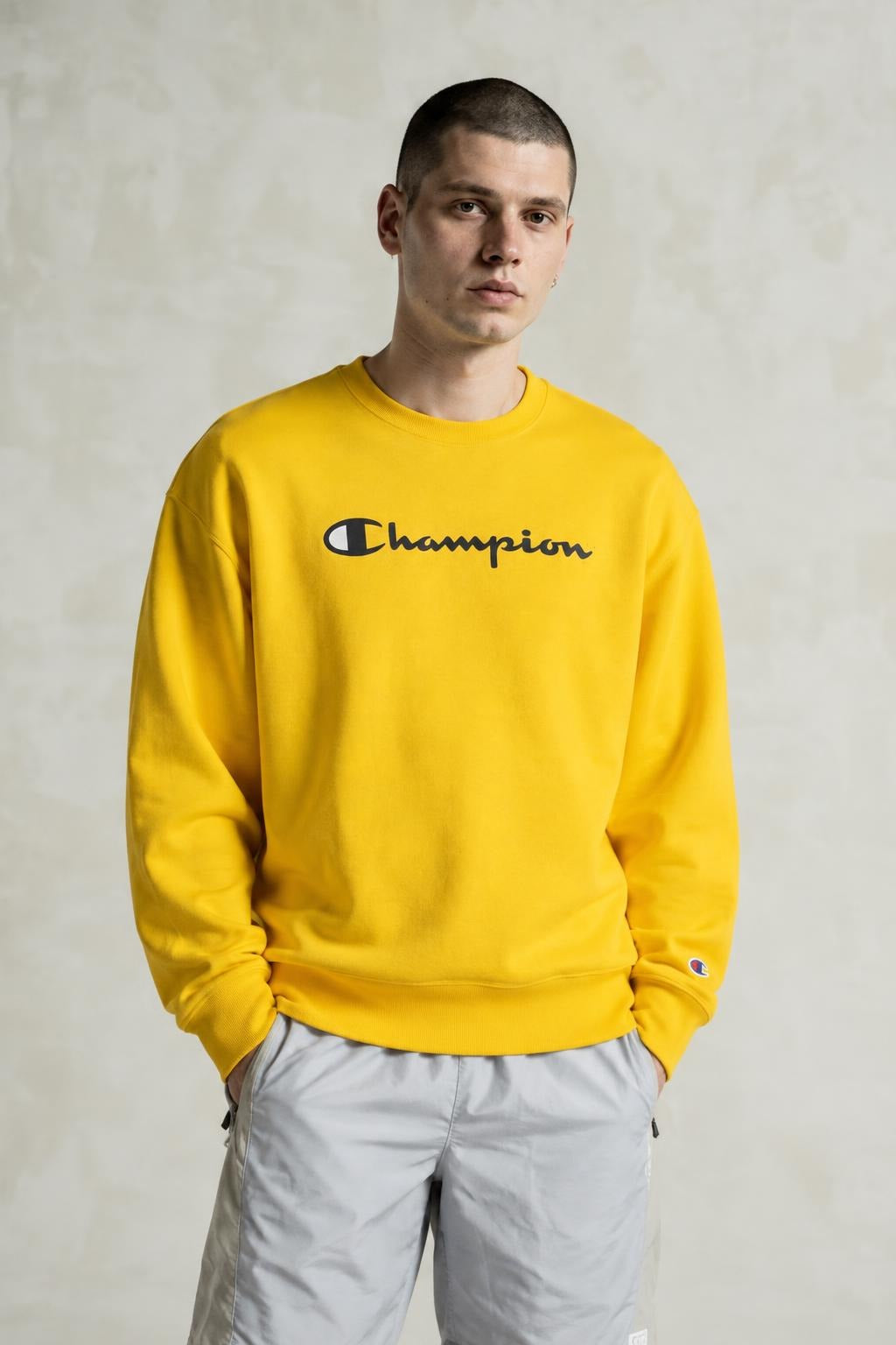 AI model photo - Champion Powerblend Fleece Crew Script Logo Forsythia GF88H Y07718 ANCM