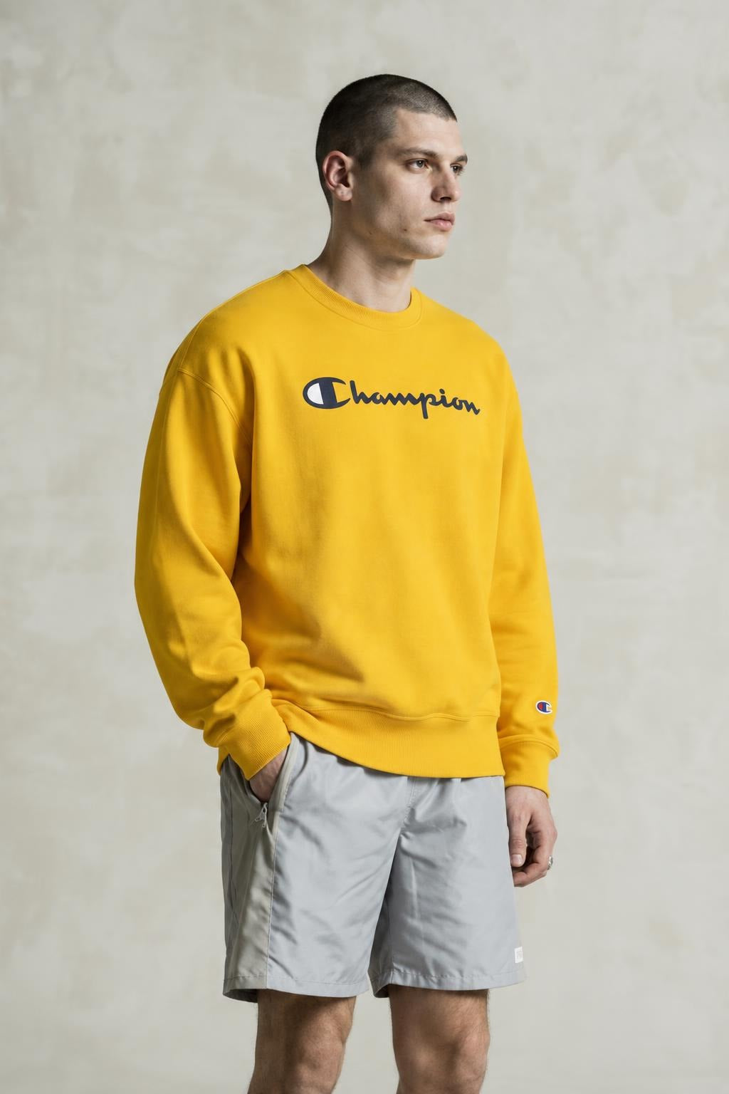 AI model photo - Champion Powerblend Fleece Crew Script Logo Forsythia GF88H Y07718 ANCM