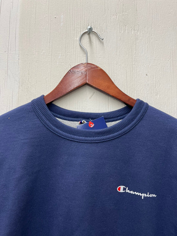 Champion Powerblend Fleece Crew Script Logo Classic Sky Blue GF88H Y08160 93O - APLAZE