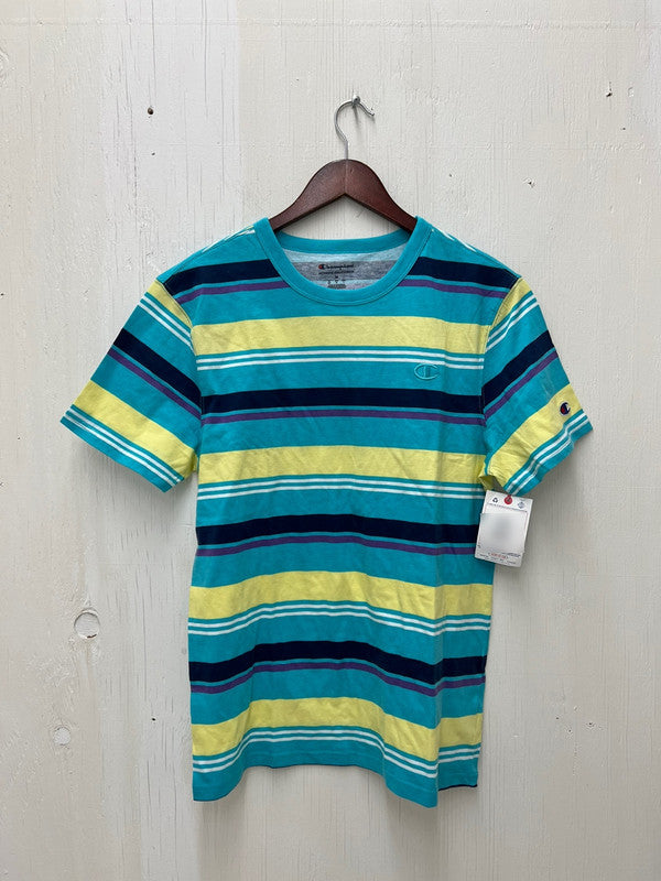 Champion Men's Classic AOP T-Shirt Fresh Stripe Sunb Blue Multi T8754P 407D55 APLJ - APLAZE