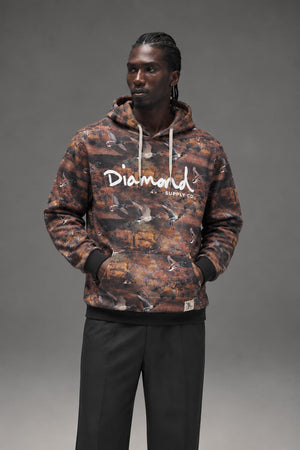 Diamond Supply Pullover Hood In Brown D15DTG02 AI model photo
