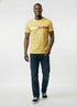 Tommy Hilfiger Mens Flag Stripe T-Shirt Goldfinch 78J4997 730