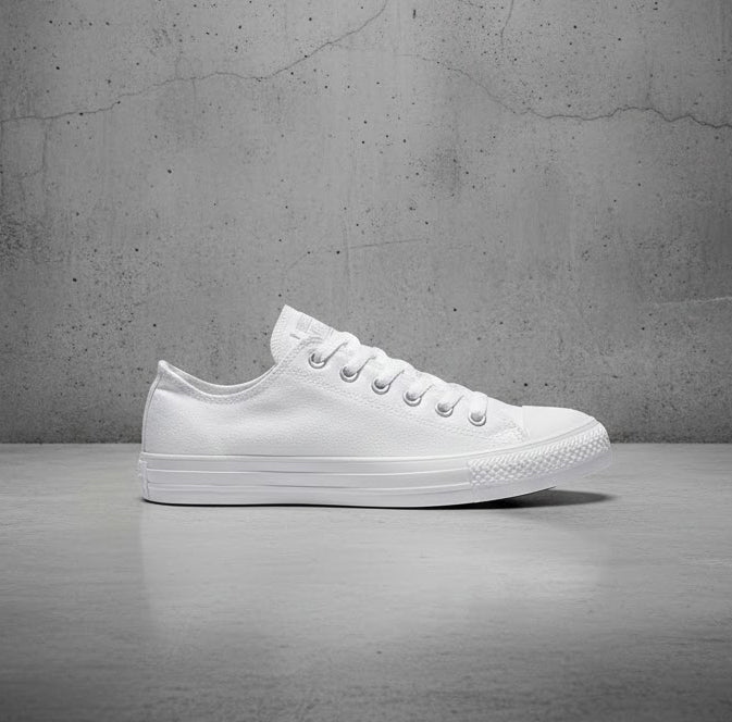 Converse Unisex Chuck Taylor All Star OX White Monochrome 1U647