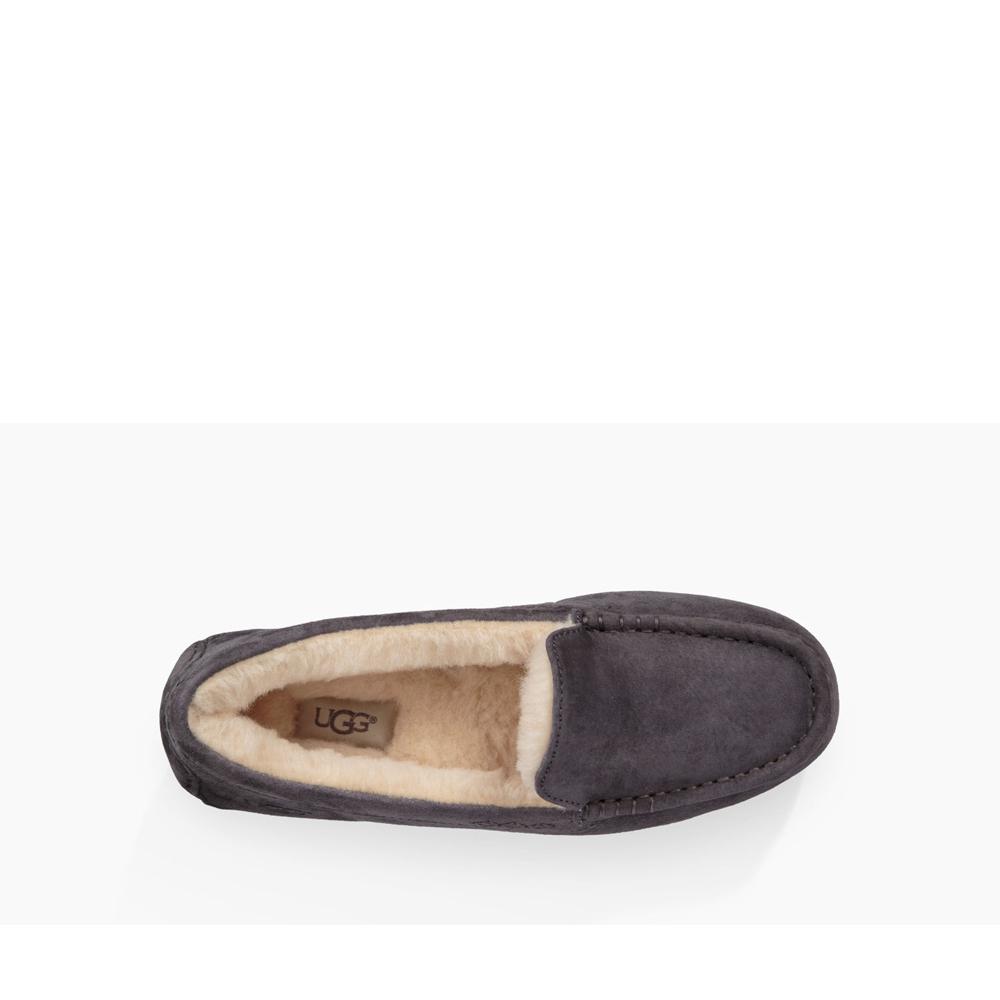 Ansley ugg slippers on sale nightfall