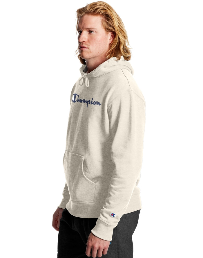 Champion powerblend script clearance hoodie